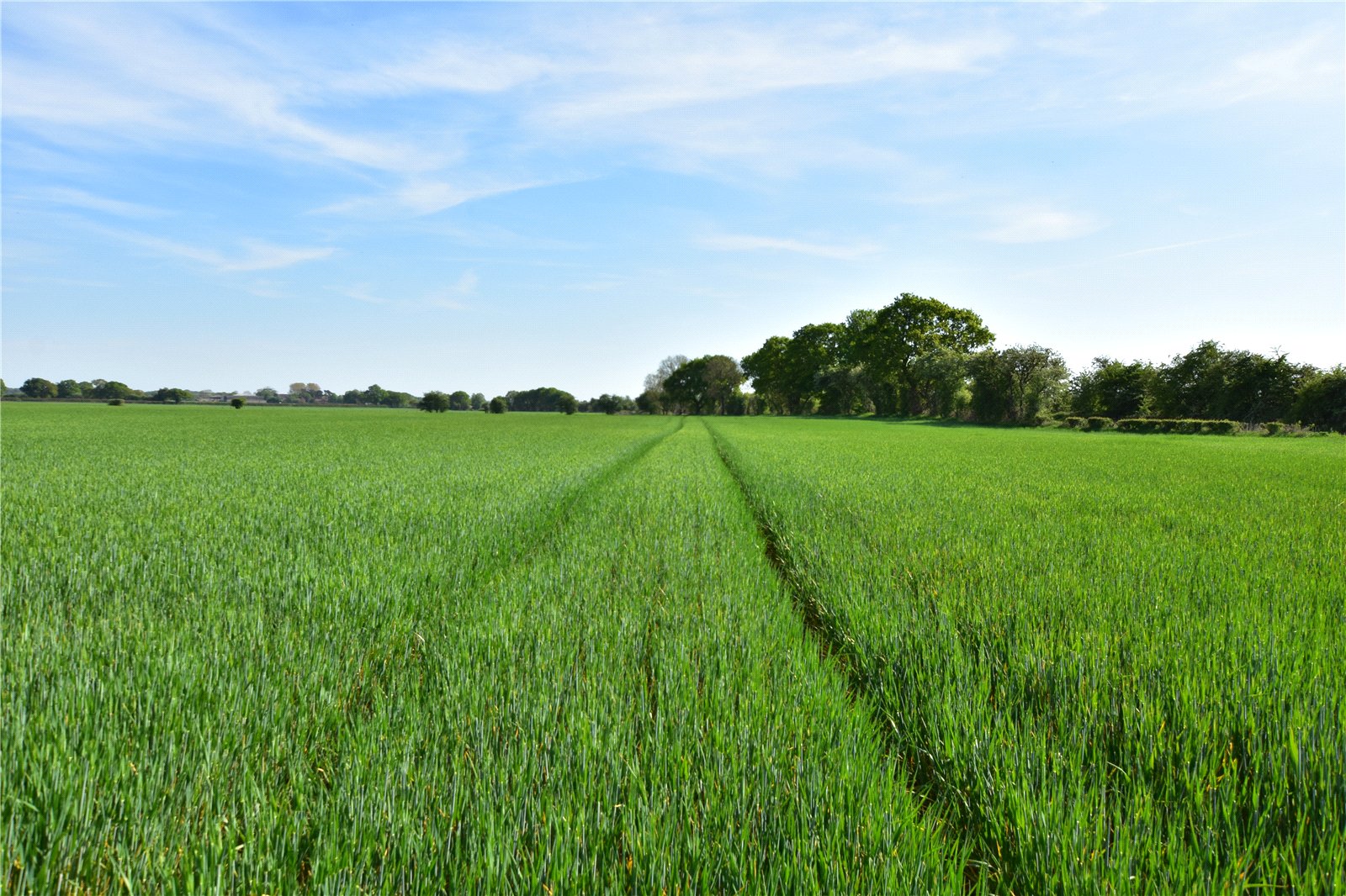 Arable Land, Flawith Road, Alne, York, North Yorkshire, YO61 1SE