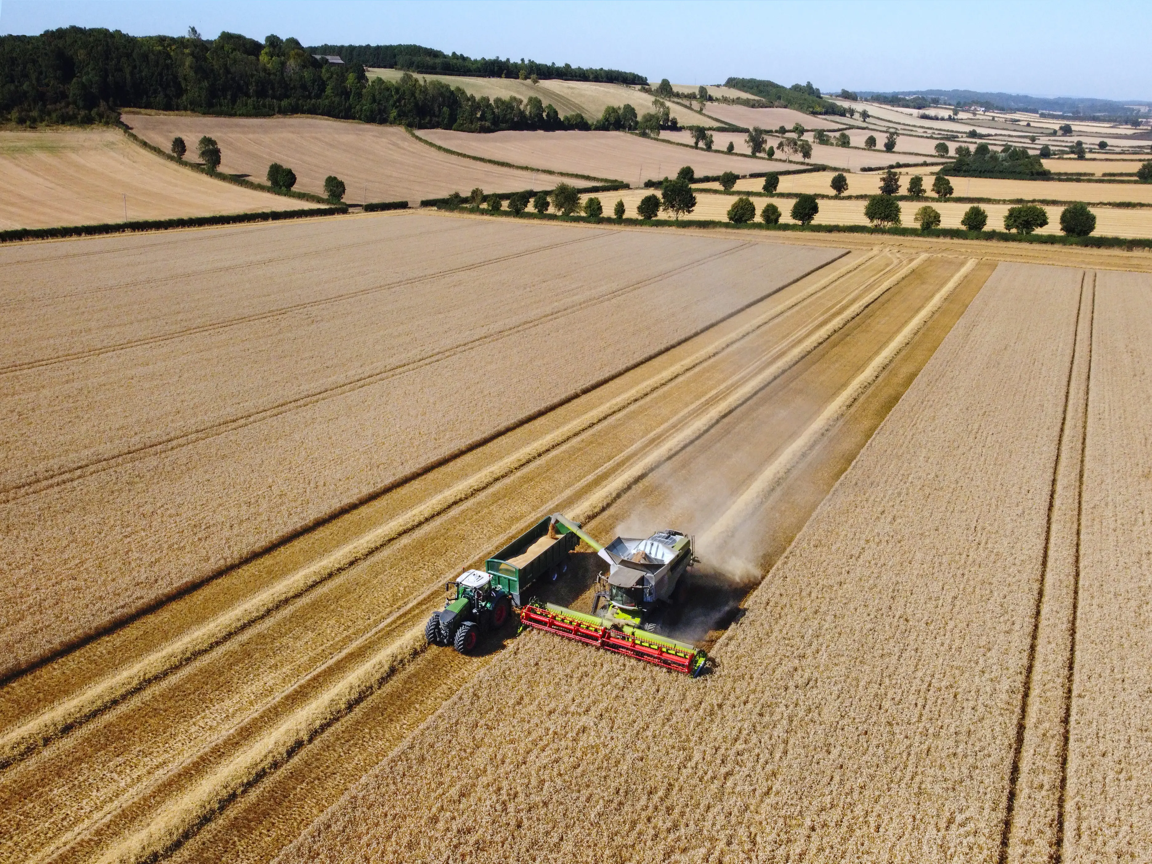 Building Resilience in Arable Farming Through Conservation Practices