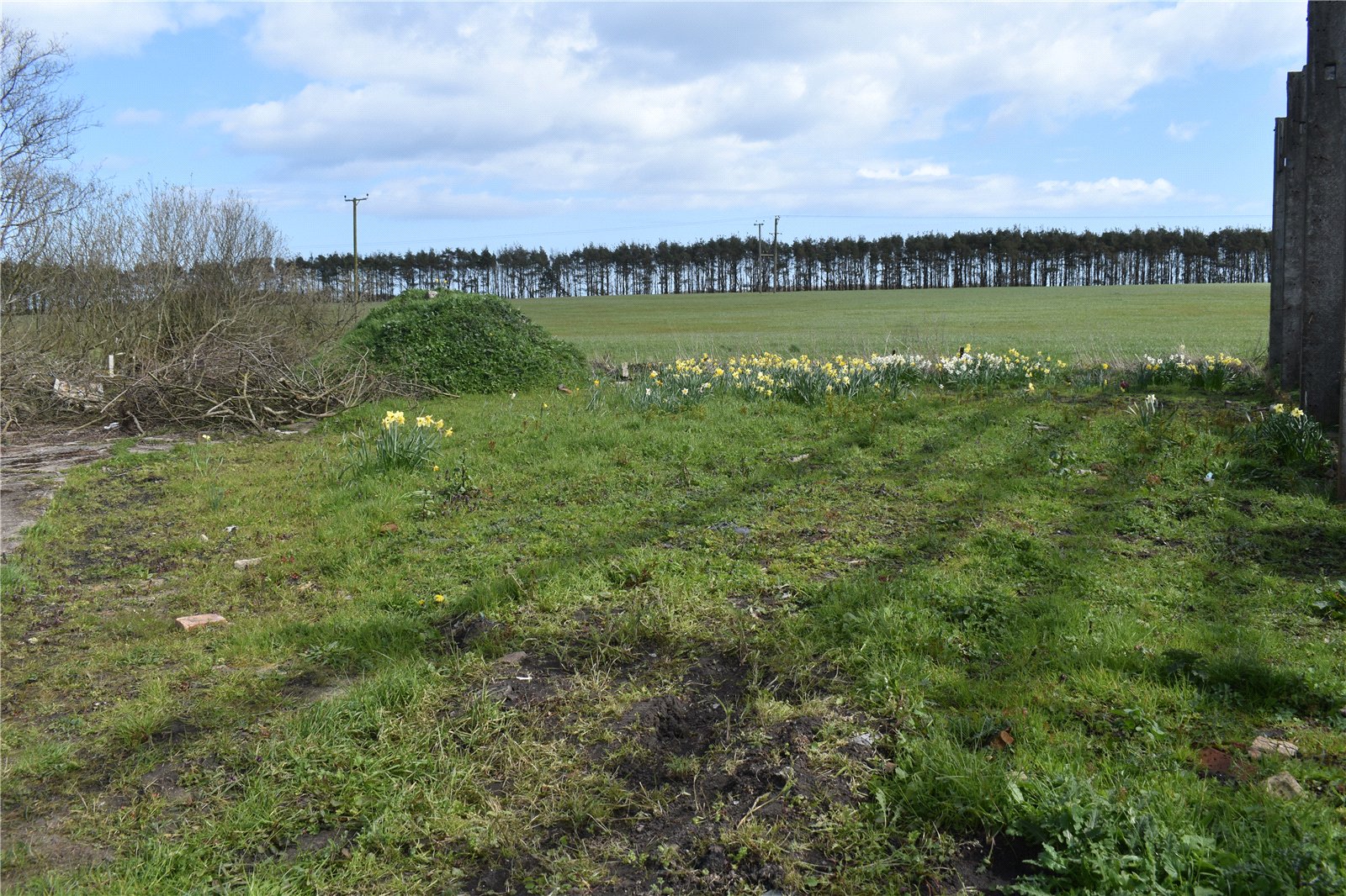 LAND SOUTH OF FERNDALE HOUSE, Main Street, Radcliffe, Morpeth, Northumberland, NE65 0JB