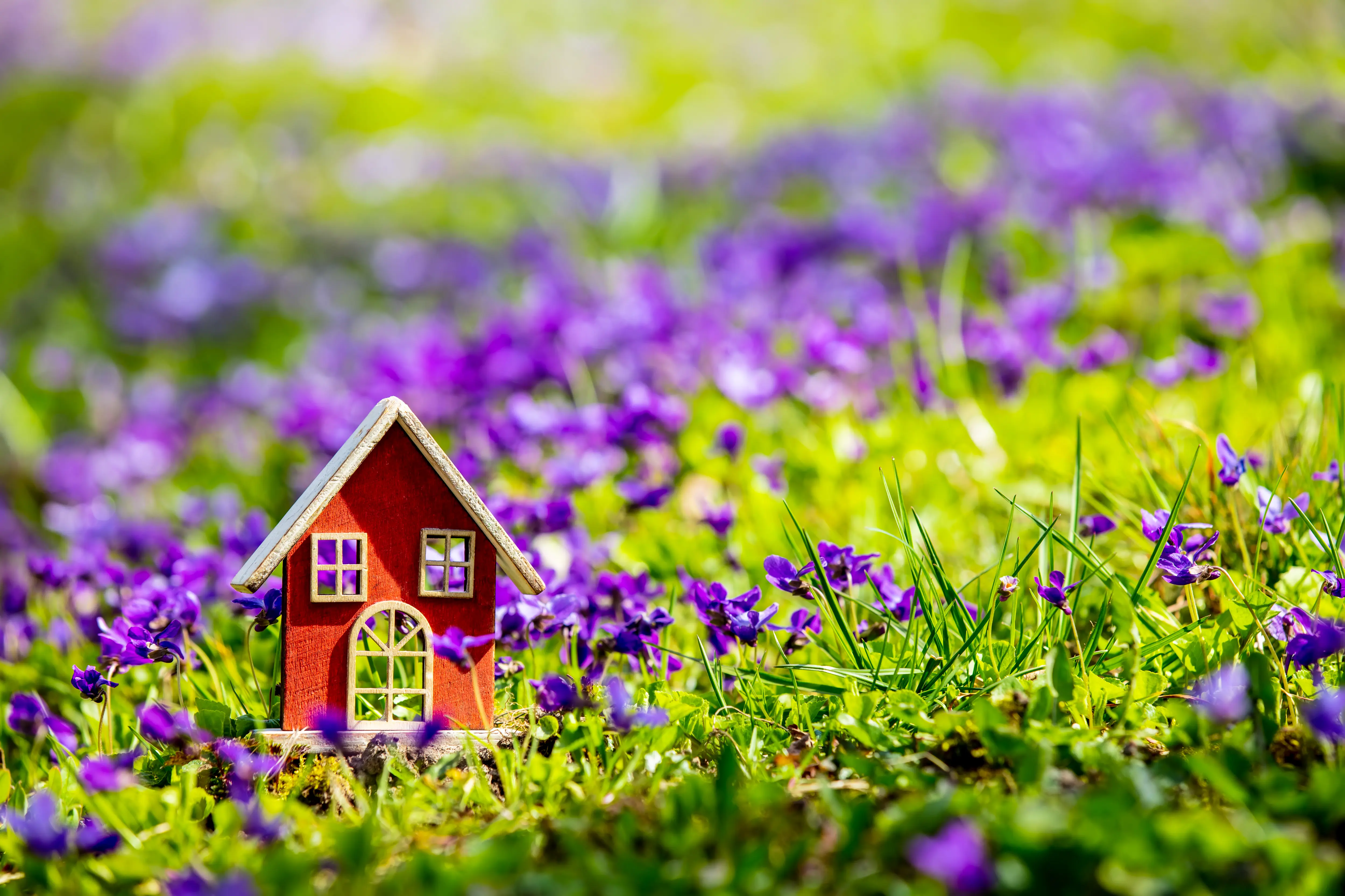 Spring Property Market Update 2026